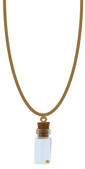 COYOTE BROWN